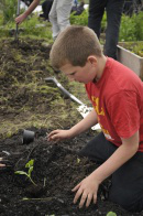 green-fingered pupil