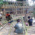 mushroom sheds