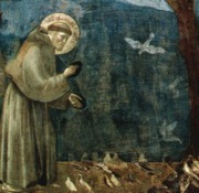 St Francis of Assisi -  Giotto