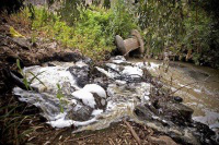 Sewage running from settlements into Jalbun village. Photo by: Jalbun City Council