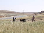 Shepherds from At-Tuwani