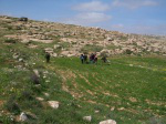 Soldiers lead boys away at gunpoint