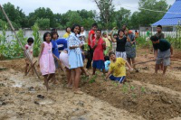 Children in new garden at Ban Tharn Namchai