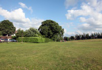 Cofton Park - photos by Peter Jennings