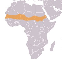 Sahel