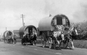 GYpsy caravans