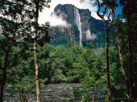 Rainforest, Canaima National Park