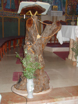 Remains of  olive tree- now a lectern in the parish church, Aboud.