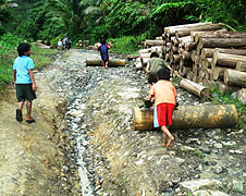 Children as young as nine hauling logs