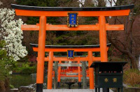 Temple gates Katsuo ji