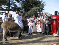 Palm Sunday 2009