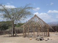 traditional Turkana house being built