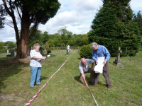 preparing the ground