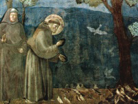 St Francis preaching to birds - Giotto