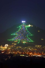 Gubbio Christmas Tree