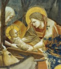 Detail from Giotto's Nativity
