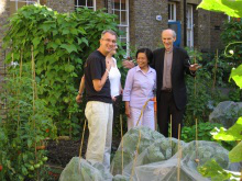 New garden at St Patrick's, Wapping