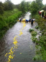 intrepid students brave icy waters to rescue ducks