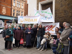 Campaigners after service with polar bears 