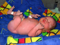 newborn - Wiki images