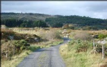 rush hour in Co Mayo