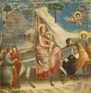 Flight Into Egypt - Giotto