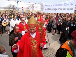 Palm Sunday in Sanok - Wiki image