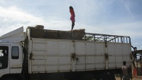 first truckload of hay to arrive