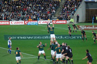 SA Victor Matfield claims line-out ball -  2006 Tri Nations Series test match. Hamish McConnochie - Wiki image
