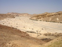 Wadi in Nahal Paran, Negev - Wiki