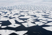 Arctic ice breaking up