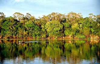 Amazonia 