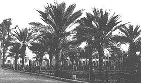 Historic Ridvan Gardens, Baghdad