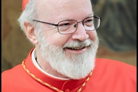 Cardinal O'Malley