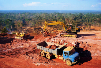 Destruction of rainforest