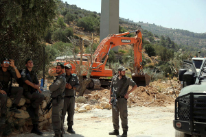 Soldiers supervise destruction of olive groves