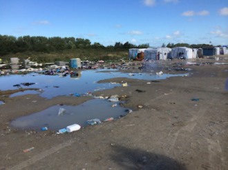 Flooded area of the 'Jungle'