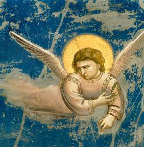 Giotto Angel