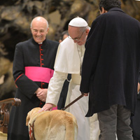 Pope pets seeing eye dog