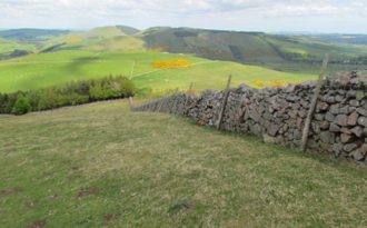 Yorkshire Dales