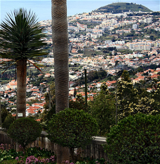 Funchal,  Wiki image  by Hedwig Storch
