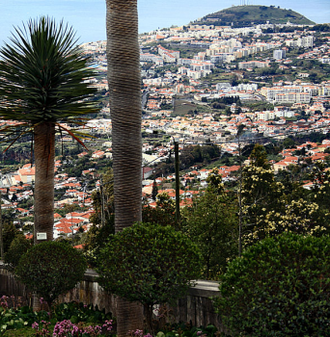 Funchal, Wiki image by Hedwig Storch