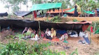 Rohingya families in makeshift shelters