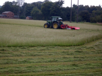 Haymaking - wiki image Mike Kirby