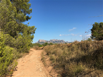 Ancient track with Montserrat on horizon