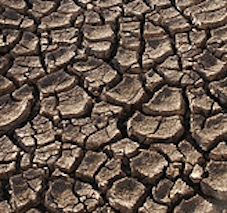 Parched soil