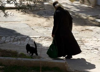 monk and cat
