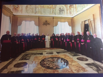 Bishops with Pope Francis