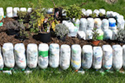 Raised beds at Wardkey made from  Eco Bricks