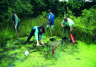 Cleaning Minet Country Park